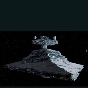 Meet your Posher, Brady